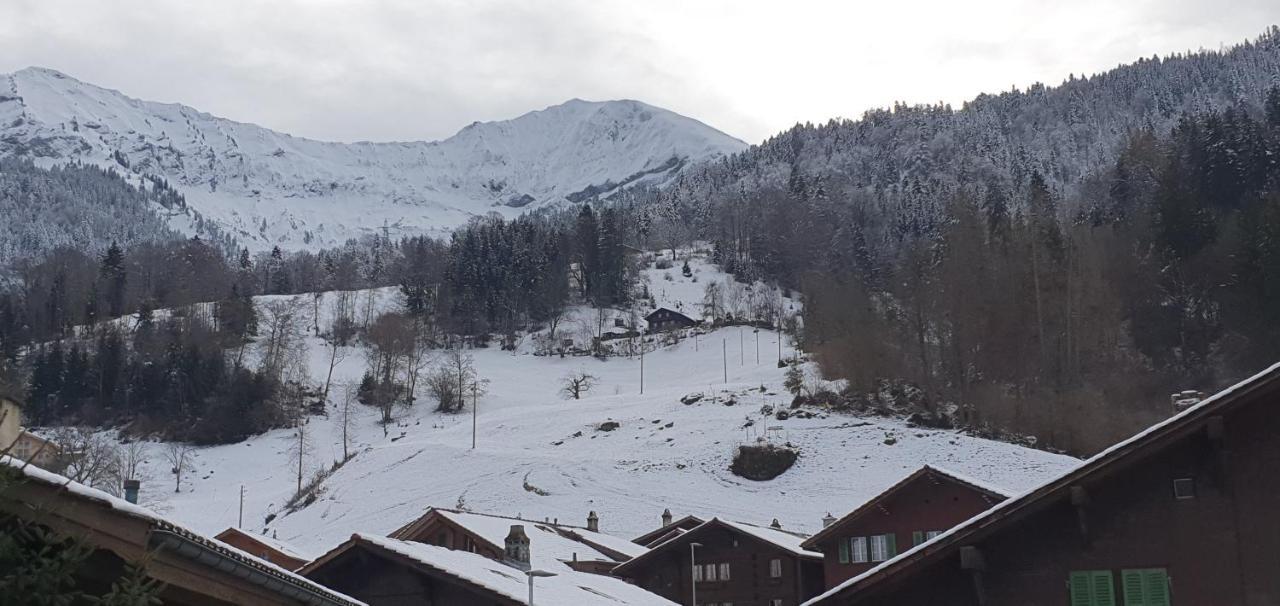 Hotel Rosengaertli Leissigen Dış mekan fotoğraf